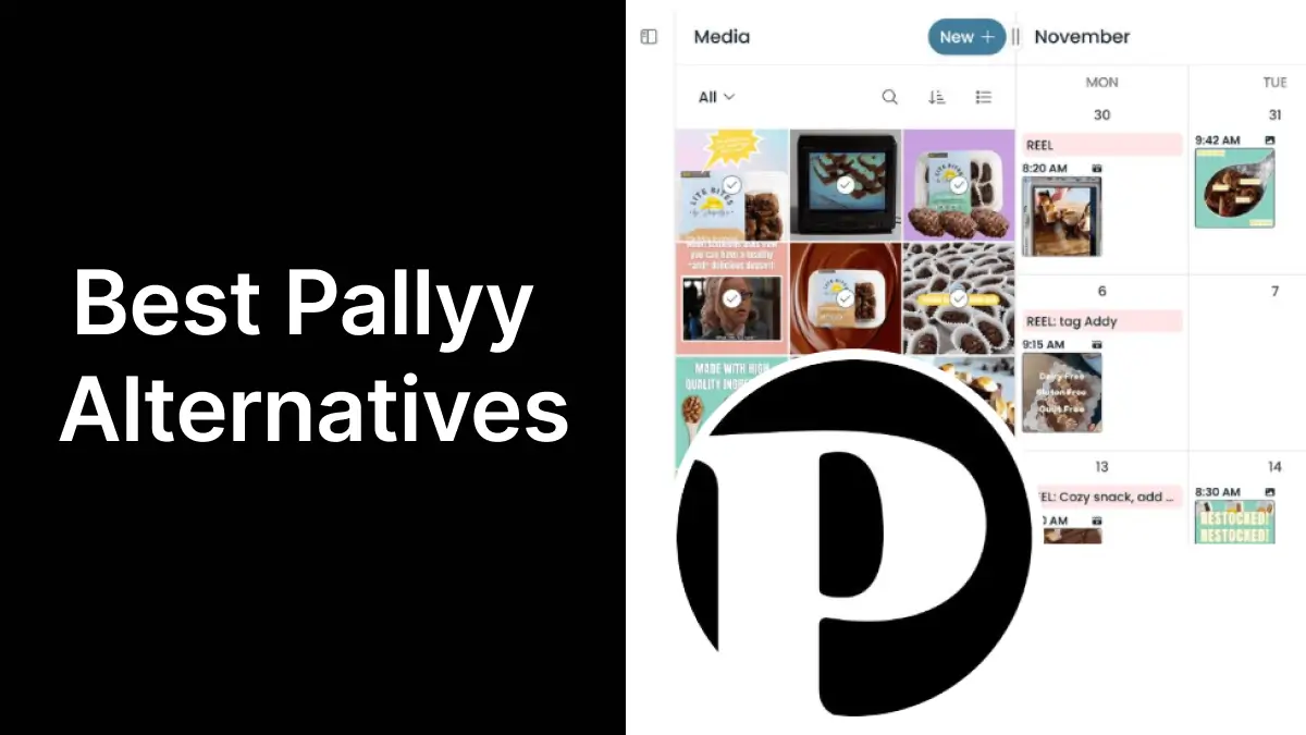Best Pallyy Alternatives for 2026: Why PostPiper is the Smart Choice